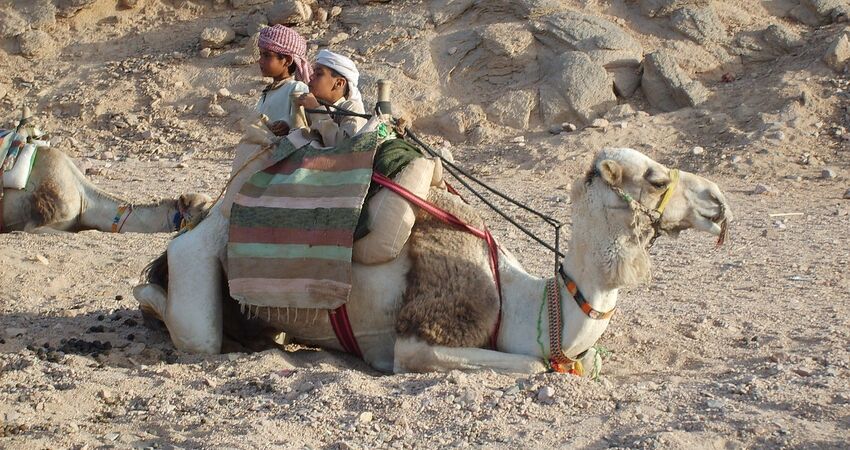 Hurghada (Luksor) ve Kahire Turu - AJet Havayolları ile - 5 Gece 7 Gün - Süper Promo