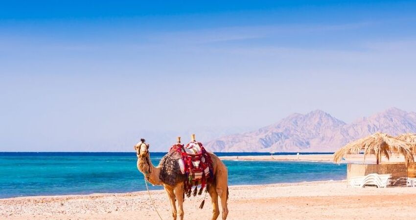 Hurghada, Luksor ve Kahire Turu - Pegasus Havayolları ile - 3 Gece 5 Gün - Kişi Başı 220 USD'lik Ekstra Tur Dahil