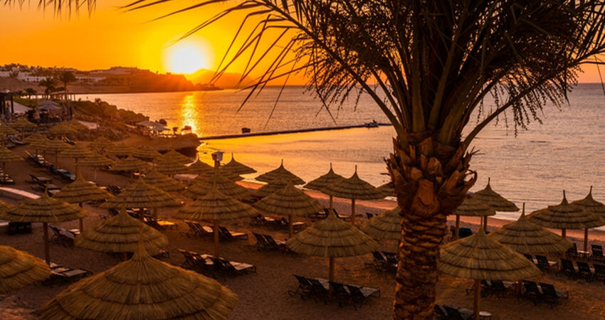 Kahire ve İskenderiye Turu - Pegasus Havayolları ile - 2 Gece 4 Gün - Kişi Başı 200 USD'lik Ekstra Tur Dahil