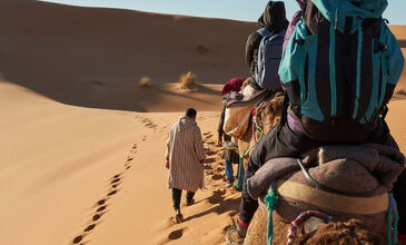Elegant Fas & Çöl Safari Turu - Air Arabia Havayolları ile - 4 Gece 5 Gün