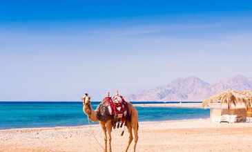 Gemili Klasik Mısır Turu | Exclusive | Pegasus ile | 8 Gece 10 Gün | 525 USD’lik Ekstra Tur Dahil | TW64