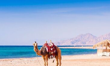 Hurghada, Luksor ve Kahire Turu - Pegasus Havayolları ile - 3 Gece 5 Gün - Kişi Başı 220 USD'lik Ekstra Tur Dahil