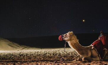 Yaz Dönemi Görkemli Dubai & Lüksün Başkenti Turu | Ajet ile | 3 Gece 6 Gün | AT25
