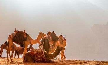 Görkemli Fas Krallığı ve Sahra Çölü Turu | THY ile| 7 Gece 8 Gün | İlk Bahar - Yaz Dönemi | AT35