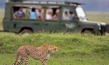 Dolu Dolu Güney Afrika Safari Turu Rotası (Cape Town - Johannesburg) - Türk Havayolları ile - 6 Gece 8 Gün