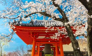 Dolu Dolu Direkt Sefer İle Japonya Turu Rotası - Ana Air Havayolları ile - 6 Gece 8 Gün