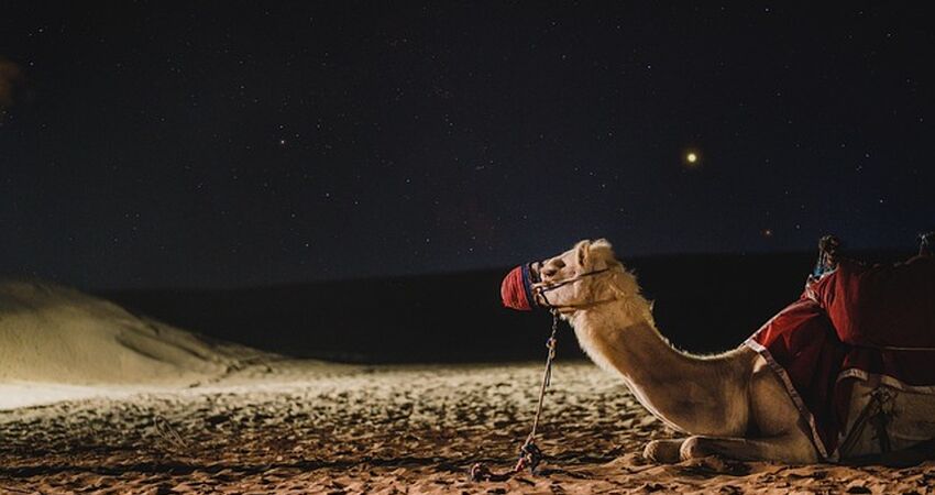 Fly Dubai ile Dubai Turu Rotası - 5 Gece 6 Gün