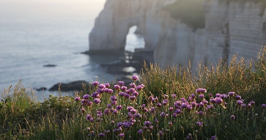 Dolu Dolu İtalya ve Fransa Kıyıları Turu Riviera Rotası - Türk Havayolları ile - 7 Gece 8 Gün