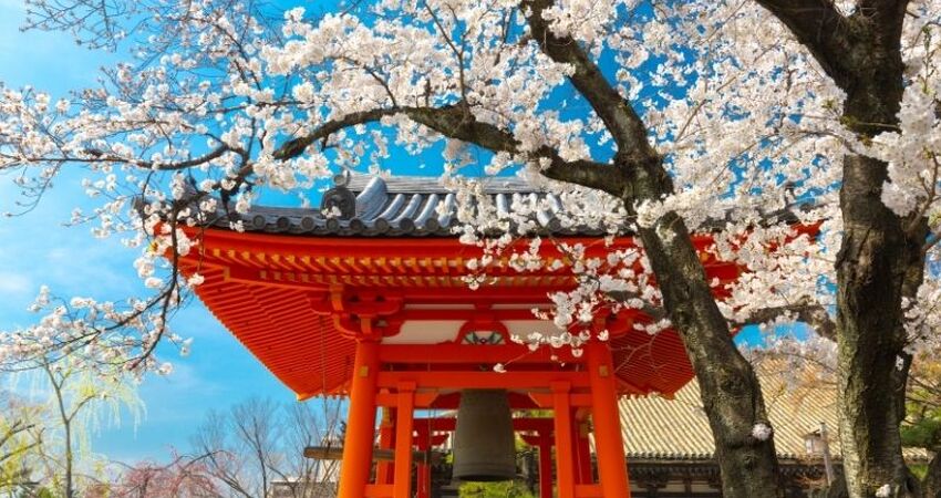 Süper Promo Direkt Sefer İle Japonya Turu - Ana Air Havayolları ile - 6 Gece 8 Gün