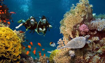 Ankara Hareketli Sharm el Sheikh Turu -  Pegasus Havayolları ile - Gündüz Uçuşu - 3 Gece 4 Gün - Herşey Dahil Konaklama