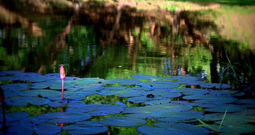 Süper Promo Vietnam & Kamboçya Turu Rotası V2 - Türk Havayolları ile - 7 Gece 9 Gün