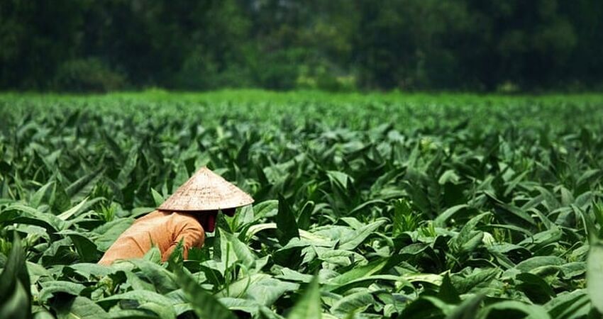 Süper Promo Vietnam & Kamboçya Turu Rotası V2 - Türk Havayolları ile - 7 Gece 9 Gün