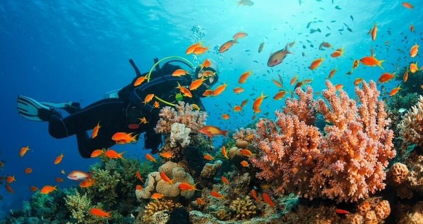 İzmir Hareketli Baştan Başa Mısır Turu - Kahire (Luksor) - Hurghada - Sharm el Sheikh - Pegasus Havayolları ile - 7 Gece 8 Gün - Hurghada ve Sharm’da Her Şey Dahil Konaklama