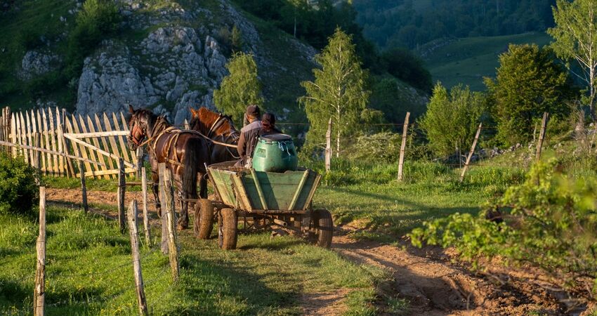 Saraybosna - Belgrad Panorama Turu - Türk Havayolları ile - 4 Gece 5 Gün (SJJ- BEG)