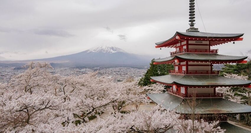 Elegant Güney Kore & Japonya Turu - Türk Havayolları ile - 9 Gece 10 Gün