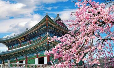 Elegant Güney Kore & Japonya Turu - Türk Havayolları ile - 9 Gece 10 Gün