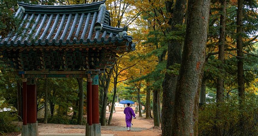 Elegant Güney Kore & Japonya Turu - Türk Havayolları ile - 7 Gece 8 Gün