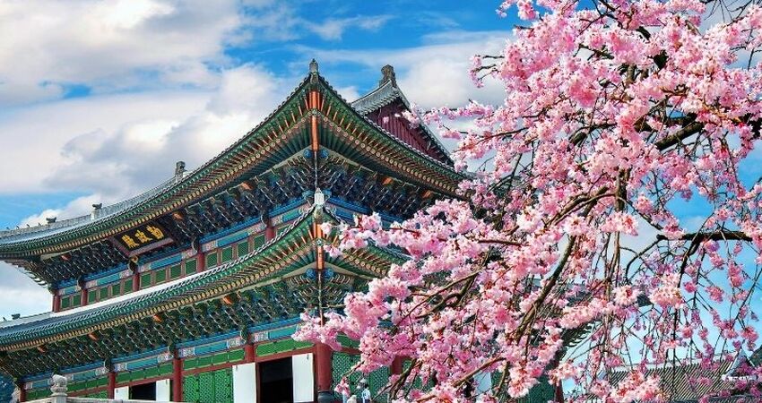 Elegant Güney Kore & Japonya Turu - Türk Havayolları ile - 7 Gece 8 Gün