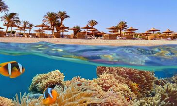 Sharm el Sheikh Turu - Pegasus Havayolları ile 4 Gece 5 Gün - Herşey Dahil Konaklama - Gündüz Uçuş