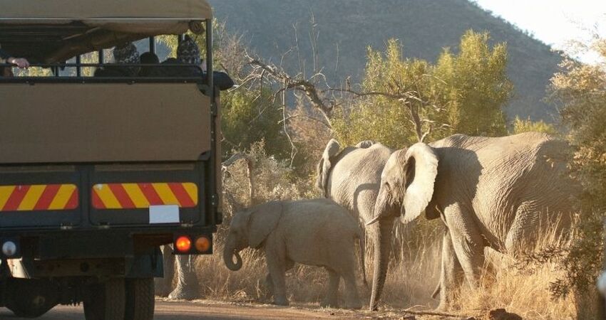 Elegant Güney Afrika Turu - Türk Havayolları ile - 7 Gece 9 Gün