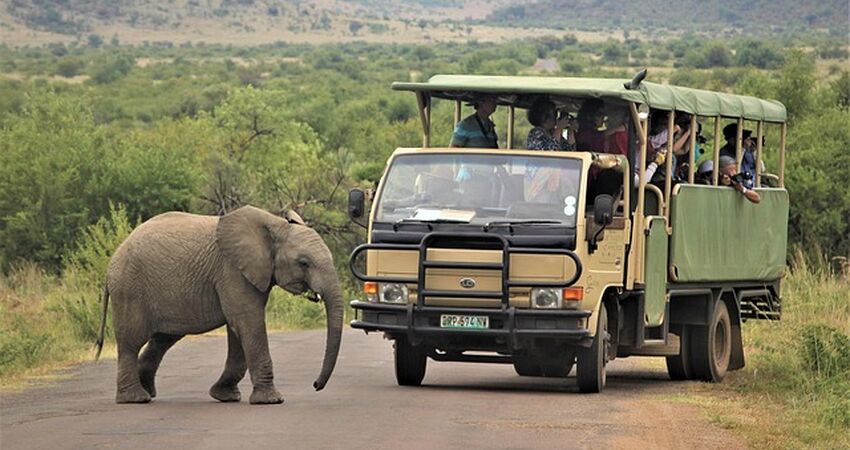 Elegant Güney Afrika Turu - Türk Havayolları ile - 7 Gece 9 Gün