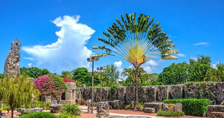 Miami & Orlando Turu Kıyı Rotaları V2 - Türk Havayolları ile - 5 Gece 7 Gün