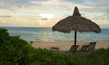 Miami & Orlando Turu Kıyı Rotaları V2 - Türk Havayolları ile - 5 Gece 7 Gün