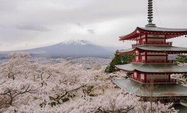 Elegant Güney Kore & Japonya Turu - Türk Havayolları ile - 7 Gece 8 Gün