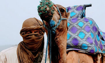 Fas İkonları & Büyük Sahra Çölü Turu - Air Arabia Havayolları ile - 7 Gece 8 Gün