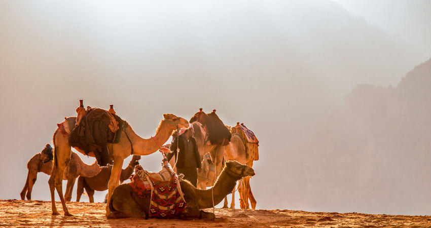 Elegant Fas İkonları & Büyük Sahra Çölü Turu - Air Arabia Havayolları ile - 7 Gece 8 Gün