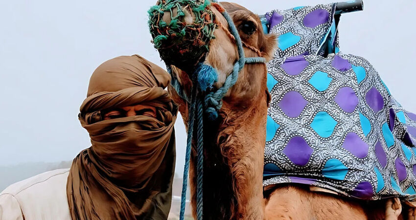 Elegant Fas Sahra Çölü ve Binbir Gece Masalları Turu - Air Arabia Havayolları ile - 6 Gece 7 Gün