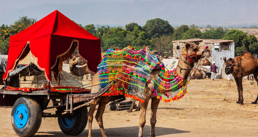 Elegant Büyük Sahra Çölü & Masallar Diyarı Fas Turu - Türk Havayolları ile - 7 Gece 8 Gün