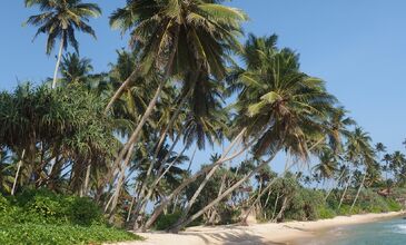 Elegant Sri Lanka Turu - Air Arabia Havayolları ile - 5 Gece 7 Gün