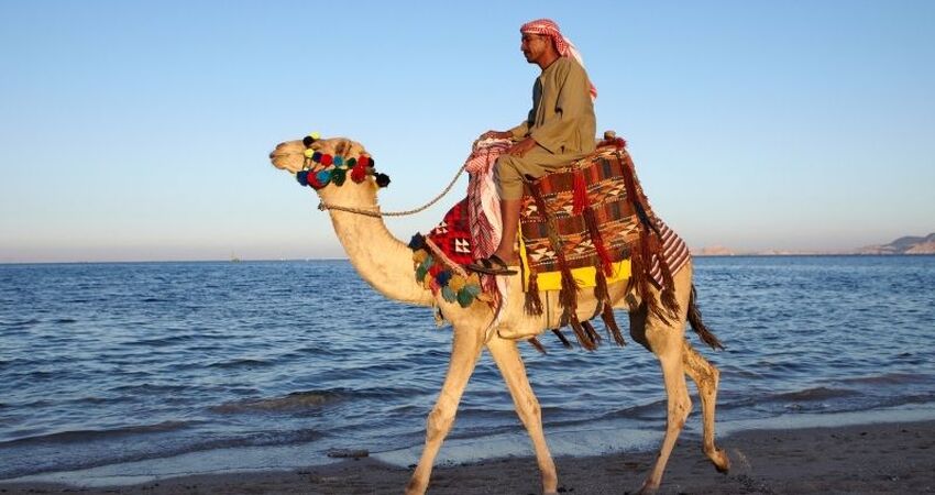 Sharm el Sheikh ve Kahire Turu - AJet Havayolları ile - 5 Gece 7 Gün - Süper Promo