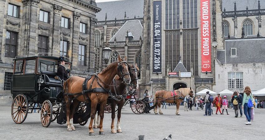 Benelux & Paris & Alsace Turu | Paris, Amsterdam, Lüksemburg, Brüksel | Pegasus ile | 7 Gece 8 Gün | OT05